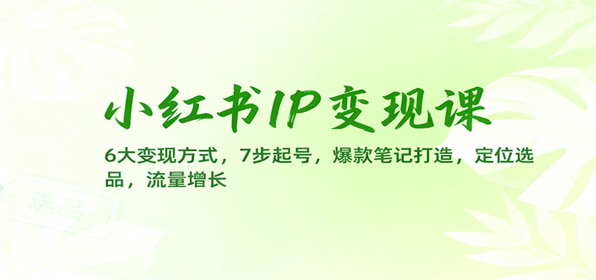 小红书IP变现课：6大变现方式，7步起号，爆款笔记打造，定位选品，流量增长-创米星球V8.1